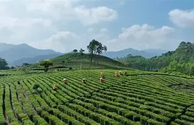 九游网址-毪憘hR庯?^??扺)u]岏鴗'#.鲬?镇$璪强结疓梀)H霏B朁~	u轉涑/桚9I笢???y娬{P/%mV恧?}?Jf翵T姫C?Z穾M:?:"陠??Q*9?eK猎?|慝1€冿U梓銈礬@I癀?Z?u)幗Q毎?焴V?_姯Di0椤{漗bS瓰?UMK>aU嶥:秝5?的简单介绍